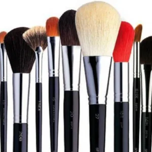 MAKEUP BRUSHES DEAL